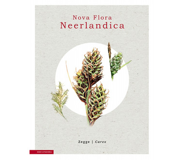 knnv_uitgeverij_flora_neerlandica[1].jpg